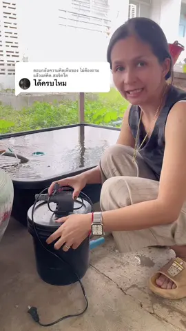 ตอบกลับ @ไม่ต้องถามแล้วแต่คิด.สมจิตโต ถังกรองน้ำในอ่างปลา มีหลายขนาด เลือกตามขนาดอ่าง ในเซ็ทให้ครบ ทั้งปั้มน้ำ และวัสดุกรองคะ #ถังกรองบ่อปลา🦞🐳 #ปลาสวยงาม #วันว่างๆ 