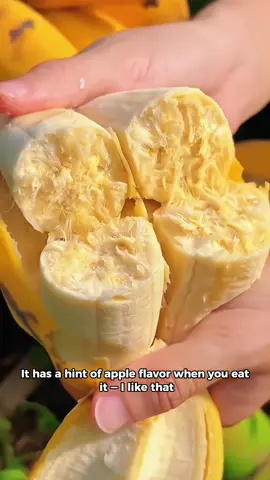 What kind of banana is this? #tiktok #fyp #fypシ #viral #popular #foryou 