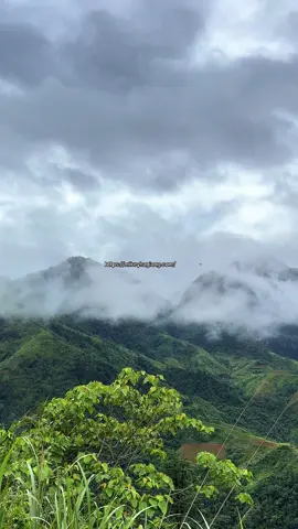 Ha Giang Like You’ve Never Seen Befẻoe Website: https://mikeyhagiang.com/ #MikeyTour #mikeyhagiangtour #HaGiangLoop #hagiang #hagiangloop2025 