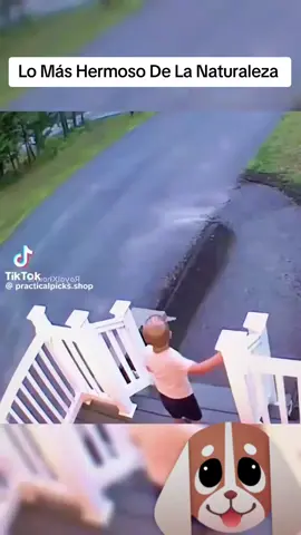 #perros #naturaleza #animales 