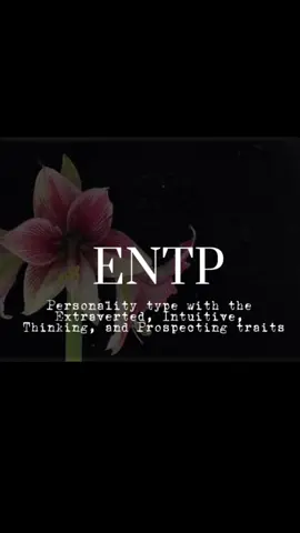 ENTP as requested! #mbti #mbtipersonality #personalitytypes #entp #entppersonality #entpcharacters #entpcharacter 
