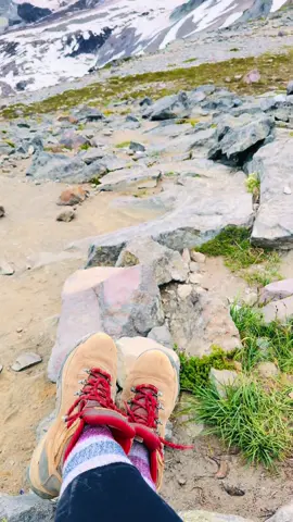 I guess there are worse addictions #pnw #Hiking #nature #inspiration #hikingformentalhealth #mountrainier #mountrainiernationalpark #travel #Summer #skylinetrail 