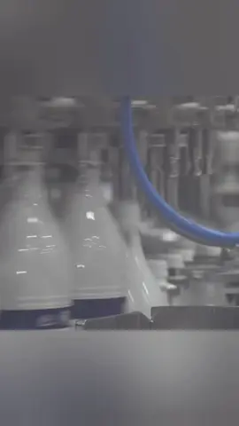 Part 4: From Raw Rice to Bottle The Crazy Transformation Process!