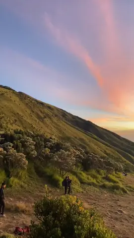 View Epic Kamera Burikk [Merbabu, 23 Juli 2025] . . . #merbabu #merbabumountain #merbabu3142mdpl #pendakifomo #videoaesthetic #kameraburik #merbabuviagancik 