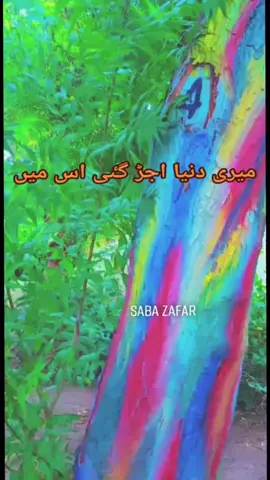 آخری راستہ سمجھتے ہو۔۔۔۔۔ #onthisday #urduquotes #1000follower #urdupoetrylovers #unfreezemyacount #viraltiktok #chaylover😘😘 #ryksquad 