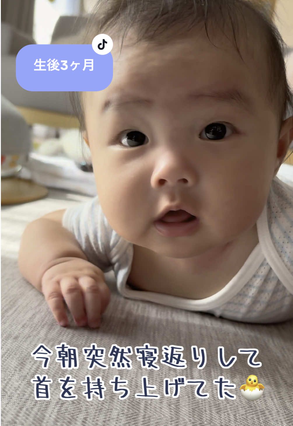 そろそろ首が座りそうですかね…？🤔 最近足で床を蹴って寝返りして腕が抜けるようになってきたなぁと思っていたら、 今朝頑張って首を持ち上げていました🐣 成長だね👶🍼 #生後3ヶ月 #baby #育児日記 #子育て #首すわり 