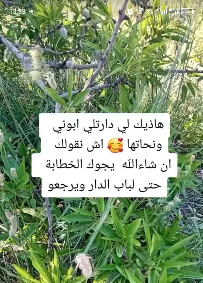 #الجزائر_algeria 
