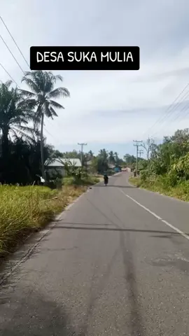 Desa Suka Mulia,Portibi,Padang Lawas Utara @n.maiya.harahap  @nurse.pisces  #tapsel #palas #paluta #madina 