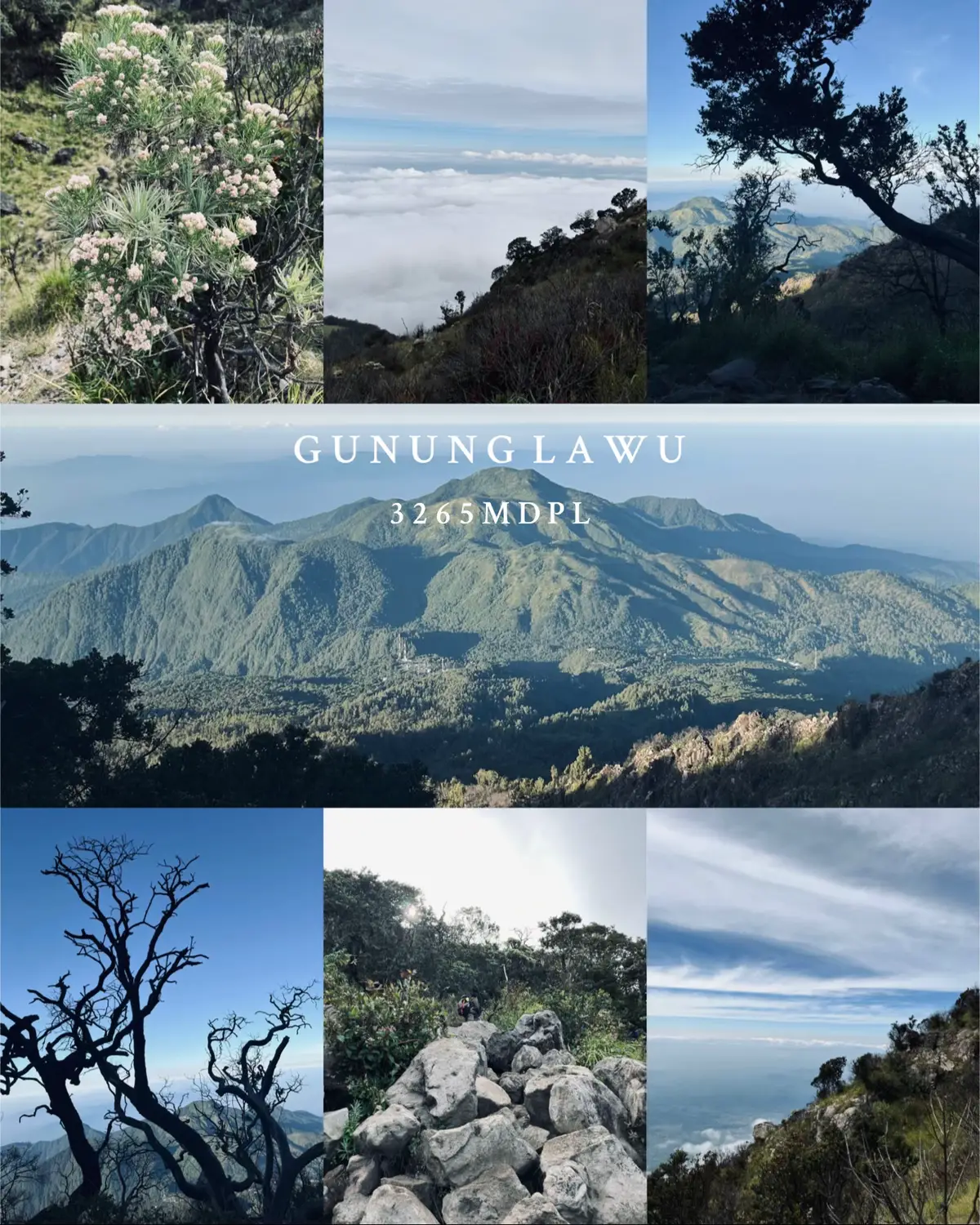 #lawumountain #cemorosewu #gunungindonesia #masukberandafyp #gununglawu #gununglawu3265mdpl 