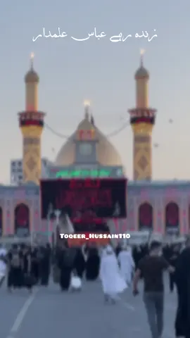#creatorsearchinsights  زندہ رہے عباس علمدار  #foryou #fyppage #vairal #nohastatus #zindaraheyabbas 
