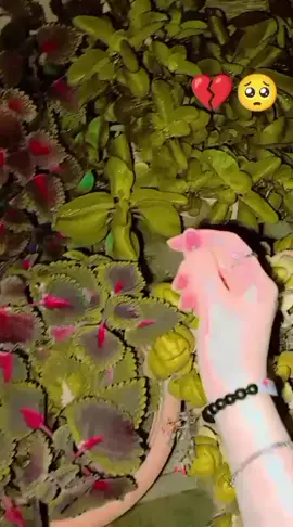 قلبي كتير عم يوجعني 💔🥺