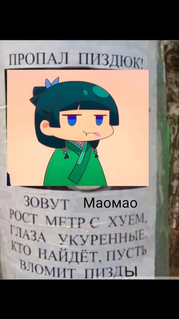 #монологфармацевта  #маомао  #сяомао 