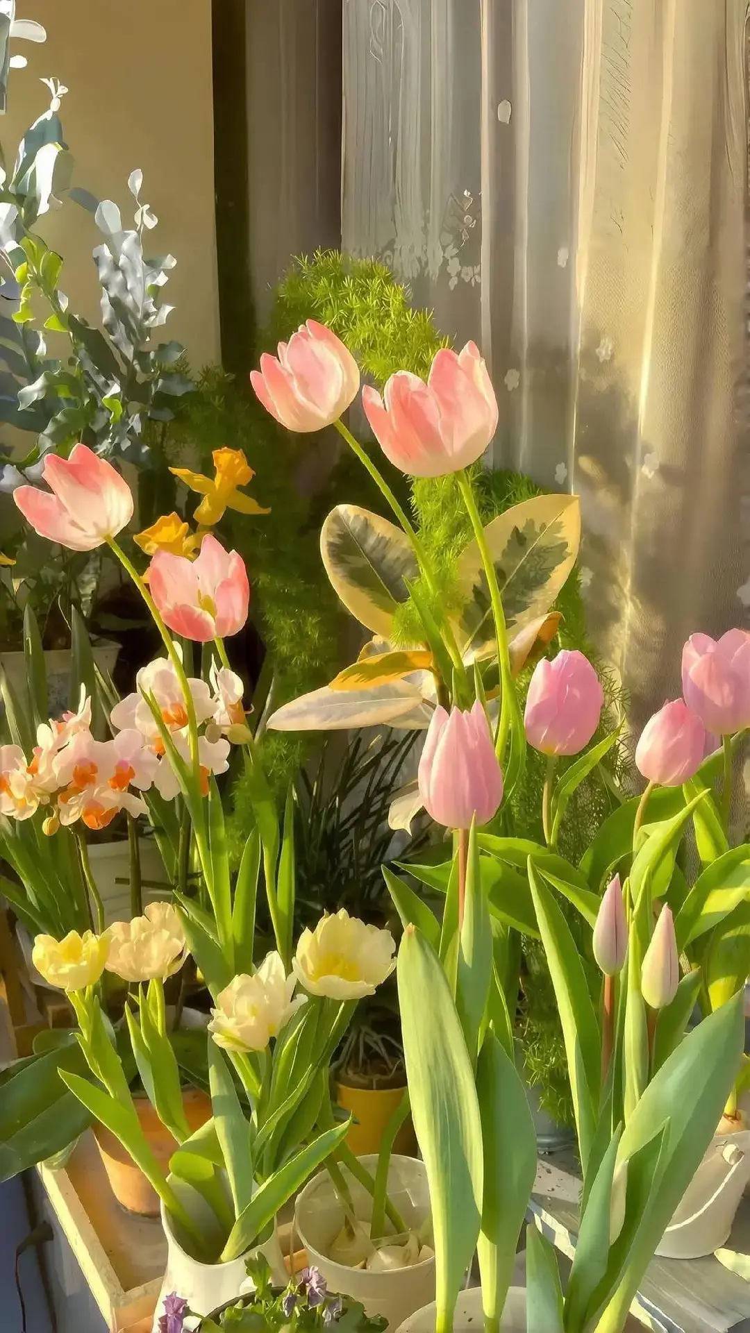 Đời giản đơn là thế. Nhưng cay nghiệt lắm thay Cần tỉnh giác chánh niệm nhìn ra bản chất cuộc đời.
