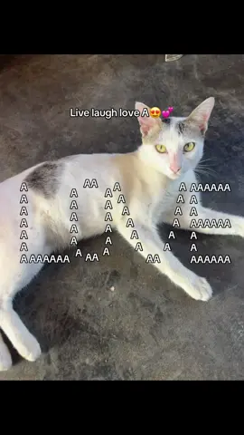 A😍💕#fypツ #fyp #foryou #foryoupage #fyyyyyyyyyyyyyyyyyyy #fypp #fypviralシ #tiktok #A 