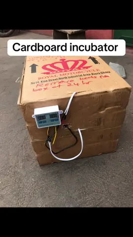 You can contact me for your homemade incubator here in Tamale. Or you can also contact me for incubator parts. 0240387120#homemadeincubator #incubator #hatching #hatchingeggs #fertilizedeggs #fertileeggs #eggs #ghanatiktok🇬🇭 #Tamale 