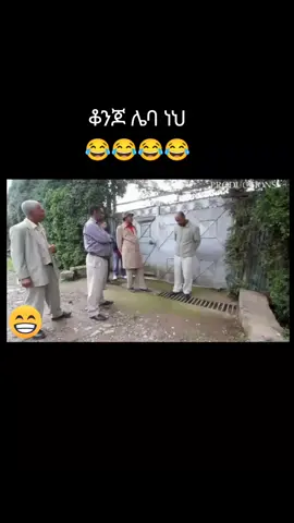 #ላይክና_ፎሎ_እየገጫቹኝ_እንጂ_ላሽ_አትበሏ #ethiopian_tik_tok🇪🇹🇪🇹🇪🇹🇪🇹 #erterantiktok🇪🇷 #foryou #fyp #fnypシ #foryoupage❤️❤️ #foryoupage #CapCut #viralvideos #videoviral 