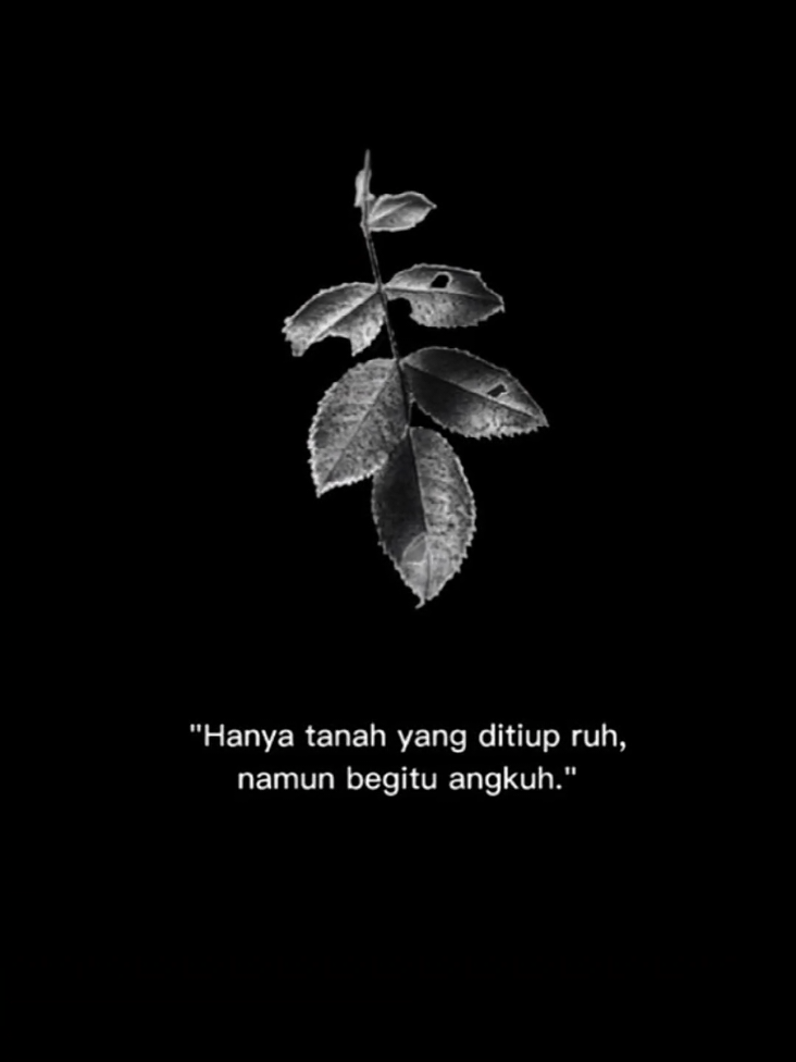 #yukhijrah #islamic_video #islamic_media #quotesislam #allahummashollialasayyidinamuhammad #allahuakbar 