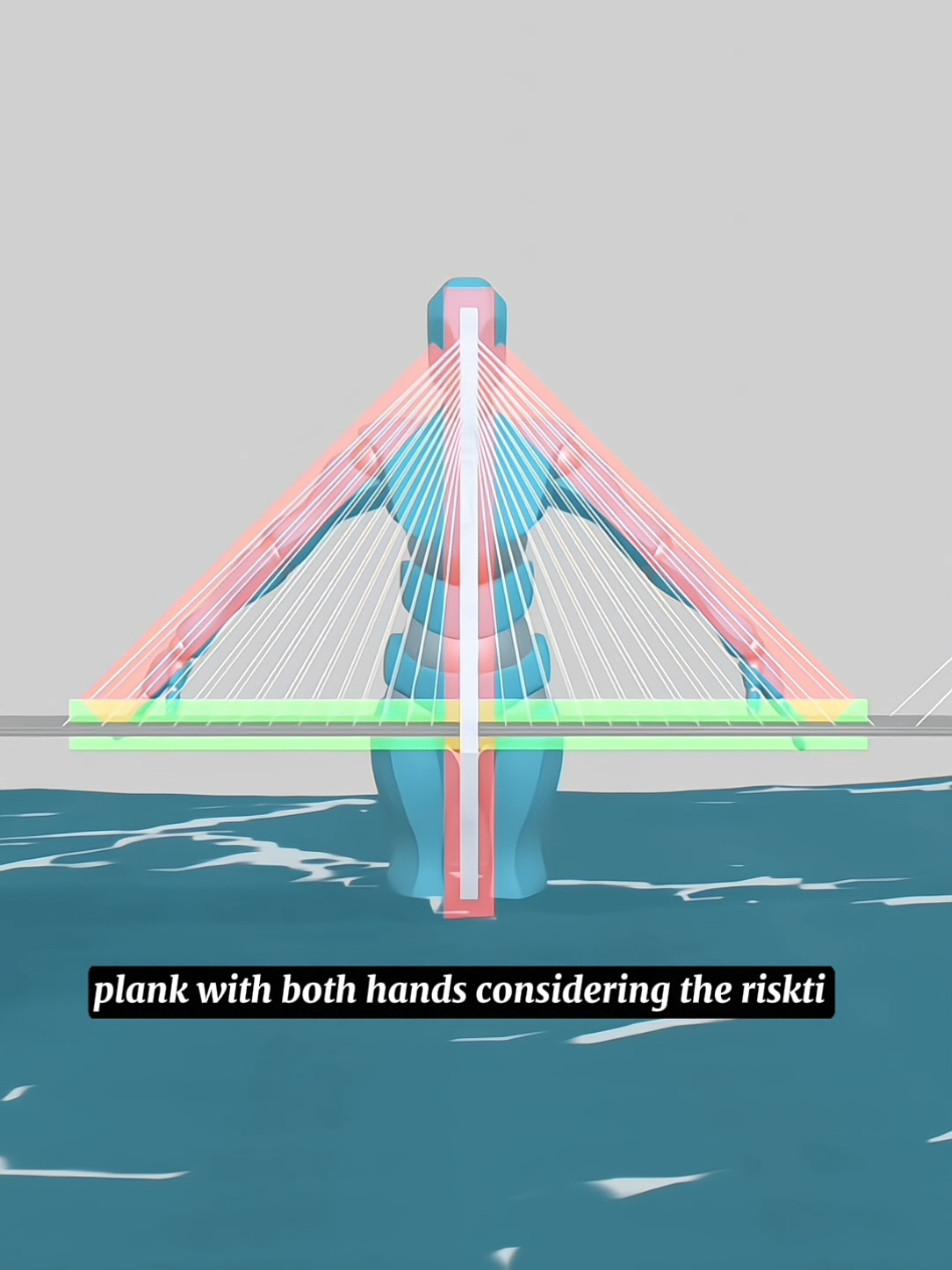 Bridges Inspired by the Human Body #reality #history #fun #story #information #3Danimation #foryoupage 