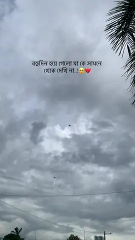 #tiktok #foryou #মালায়সিয়া_প্রবাসী #🌸🖤 
