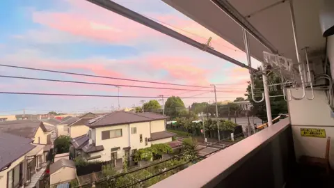 Em từng vì tiền mà làm trái với lương tâm không? Em có em đi làm cả ngày nghỉ 🫣 #xh #nhậtbản🇯🇵 #thuctapsinhnhatban❤️ #神奈川 