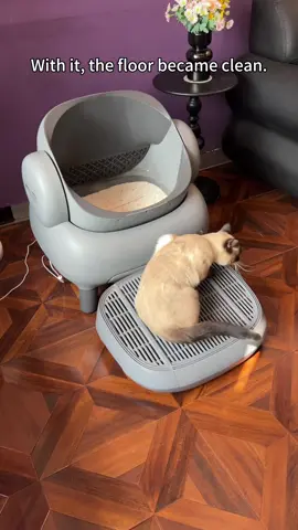 Kickstart your day with a touch, our fully automatic litter box makes American leisure happen right from dawn& top entry litter box #CatProducts #cat#catlitterbox #Petproducts #couple #neakasa #NeakasaM1 #CatLitterBox #SmartLitterBox #OpenTopLitterBox #LitterRobot 