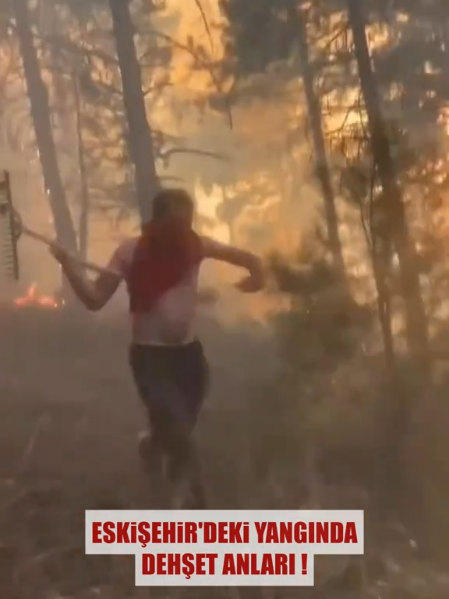 ❗️YANGINDA DEHŞET ANLARI 🔥 👉 Eskişehir Seyitgazi'deki orman yangınını söndürmek için canlarını hiçe sayan işçilerin alevlerden kaçış anları kameralara yansıdı.  KAHRAMAN İŞÇİLERİN ZORLU MESAİSİ 🔴 Eskişehir Seyitgazi'de günlerdir devam eden orman yangınını kontrol altına alma çalışmaları aralıksız sürüyor.  🔴 Yangınla ön cephede mücadele eden orman işçilerinin alevlerin arasında verdiği zorlu sınav ve alevlerden kaçış anları kameralarca kaydedildi. İşçilerin bu çetin mücadelesi izleyenlerin yüreğini burktu. CANLA BAŞLA MÜCADELE SÜRÜYOR 🔴 Tehlikeli anlara rağmen görevlerinden geri durmayan orman işçilerinin kahramanlıkları takdir toplarken, yangını söndürme çalışmaları kararlılıkla devam ediyor.  🔴 Yetkililer, yangının en kısa sürede kontrol altına alınması için tüm imkanların seferber edildiğini bildirdi. (Ajans Balıkesir) #Eskişehir #Seyitgazi #OrmanYangını #Ormanİşçisi #YangınlaMücadele #Kahramanlık #ZorluMücadele #Türkiye #Gündem #YürekBurktu