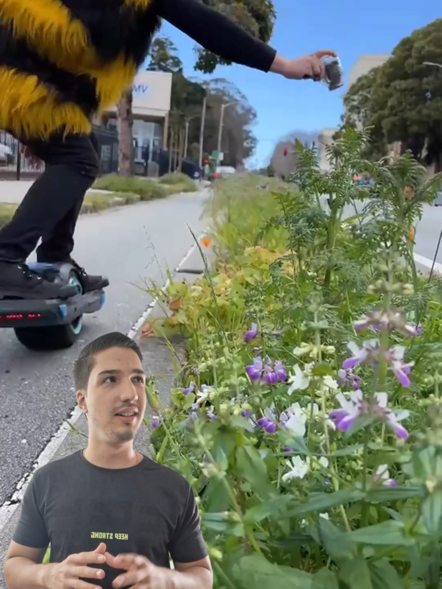 Cidade das Flores! 🏵️ Criador: @sfinbloom #FloresNaCidade #UrbanismoVerde #JardimUrbano #PlanteAmor #CidadeFlorida