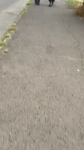 если вы увидите это видео, сорян, вы просто угарно выглядите 🫡#fyp 