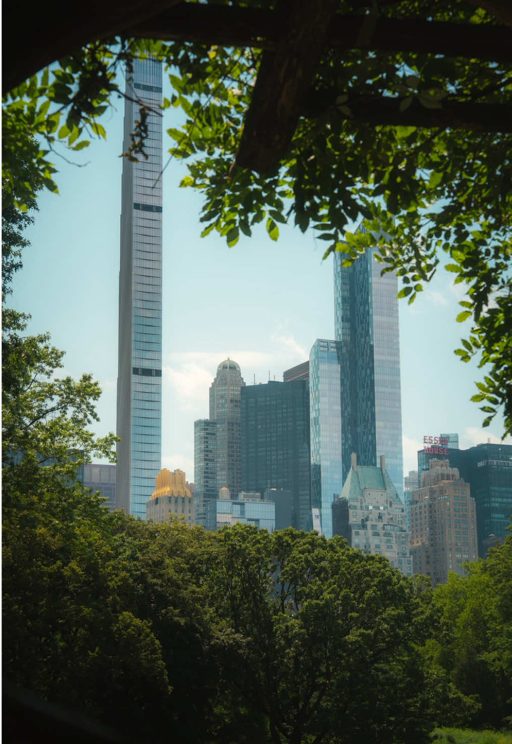 Frame Within a Frame 🖼️ It’s a simple yet powerful way to draw the viewer’s attention and add depth to your composition. By using elements like windows, doorways, arches, or even trees to surround your subject, you create a frame inside the frame that guides the eye exactly where you want it to go. It works because it creates layers. It gives your image a sense of space, focus, and sometimes even emotion - like the viewer is peeking into a story or a hidden moment. In these examples, you’ll see how natural frames in the environment can isolate the subject and create a stronger sense of presence. It adds structure, intention, and often a touch of cinematic storytelling. Like any technique, it’s not a rule, but once you start noticing frames within frames, you’ll find them everywhere. #sonyalpha #cinematic #composition #framing