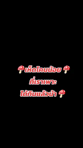 #แกงอ่อมเห็ดโคนน้อย #แกงอ่อมเห็ด #เห็ดโคนน้อยร้อยล้าน 