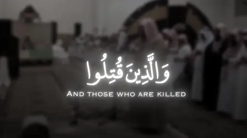 وَالَّذِينَ قُتِلُوا فِي سَبِيلِ اللَّهِ.  💔😔.                قناتي تلجرام في البايو 🤍.                                      #ياسر_الدوسري #تلاوة_خاشعة #قران #quran 