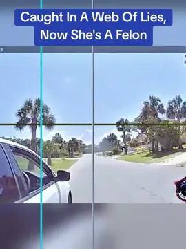 Caught In A Web Of Lies, Now She's A Felon #cops #police 