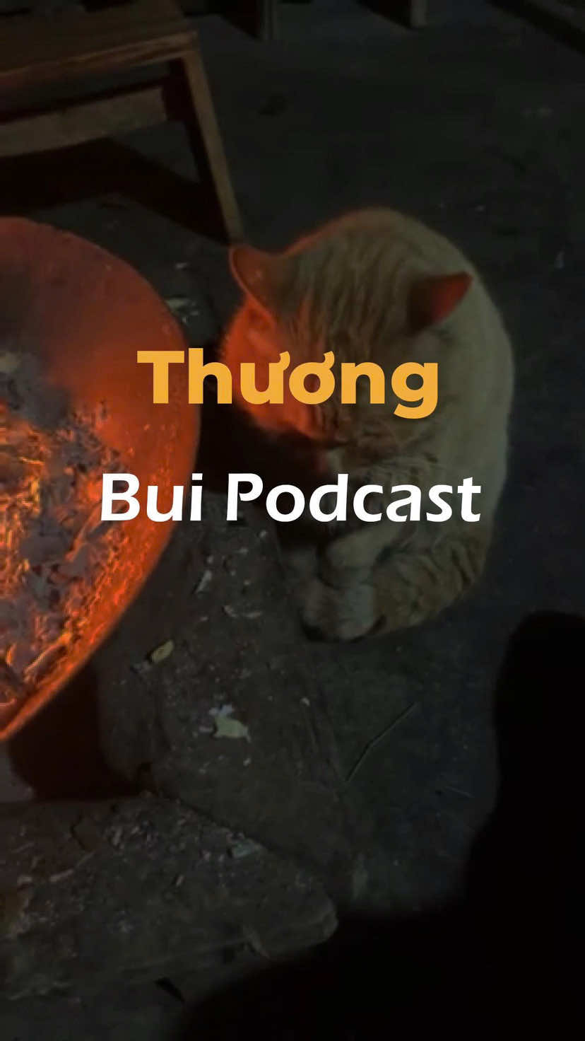 Podcast: Tập thương… #podcast #giadinh #yeuthuong #tamsu #cuocsong #podcastclips 