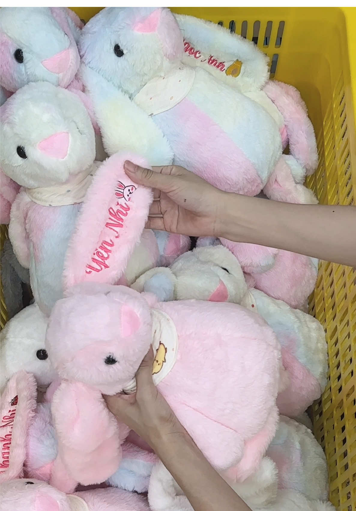 Đẹp quá nè 🤩  #thotheuten #gaubongtheuten #tiemtheubeerkids 
