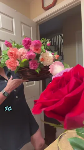 Let’s make some floral arrangements for the dealership! #rose #roses #rosegarden #flowers #floral 