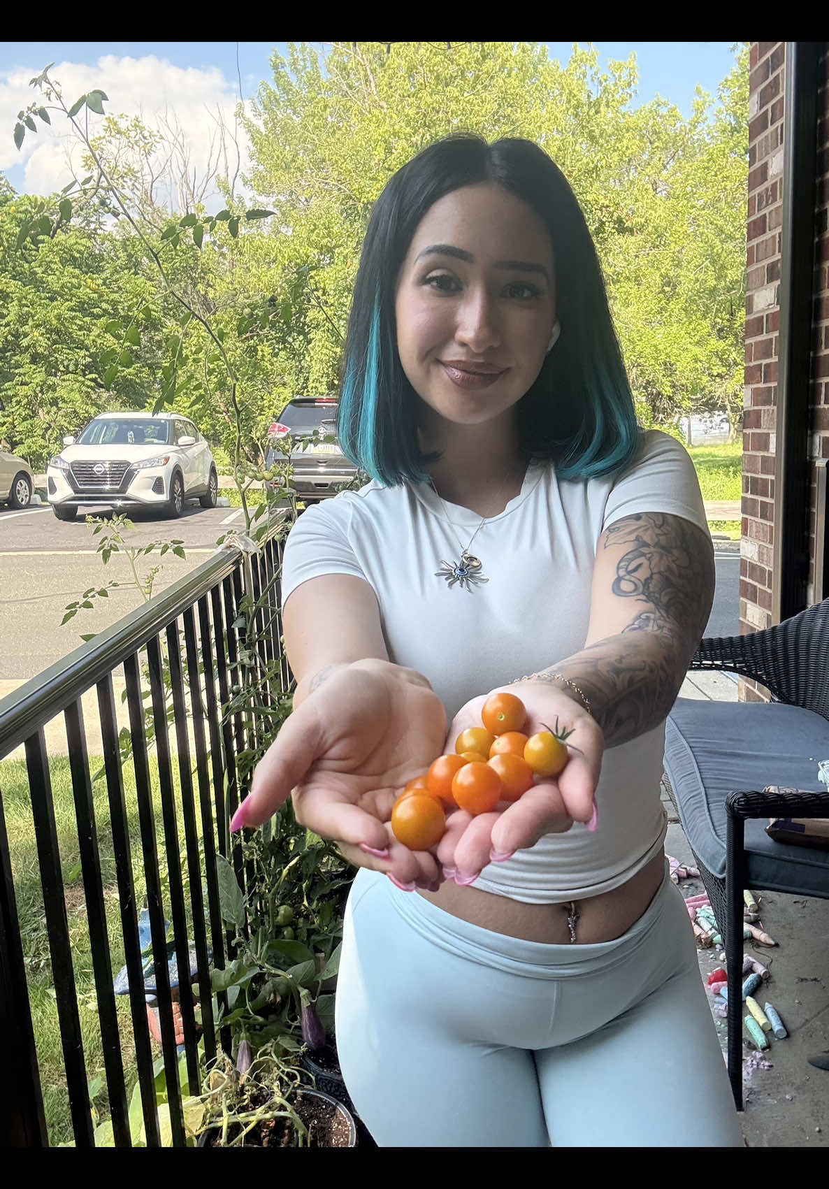 No but seriously someone tell @Linvilla Orchards to let me host their next fest!!  #organic #garden #gardening #gardentok #tomato #shorthair #bluecollar #bluehair #fyp #humor #yap #yapper #fypage 