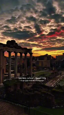 العيون..بصوت المعلق الكبير: @فارس عوض #تصميمي #ستوريات  . . . . . . #فارس_عوض #كاب_كات #capcut #تصميم_فيديوهات🎶🎤🎬 #اكسبلور #rasho_203 #tooni_203 #foryou #ستوريات🖇️🎬 