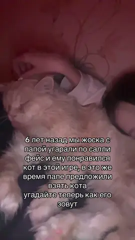 я его люблю #fyp #foryou #foryoupage #рекомендации #саллифейс #sallyface #гизмо 