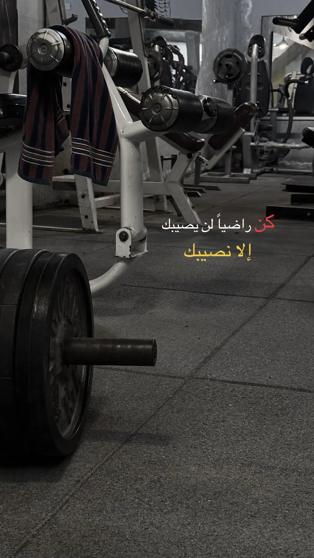 #مساء_الحب_والسعاده_متابعيني💕 #لحظة_ادراك #الحياة_ابسط_من_انك_تكابر #الشعب_الصيني_ماله_حل😂✌️ 