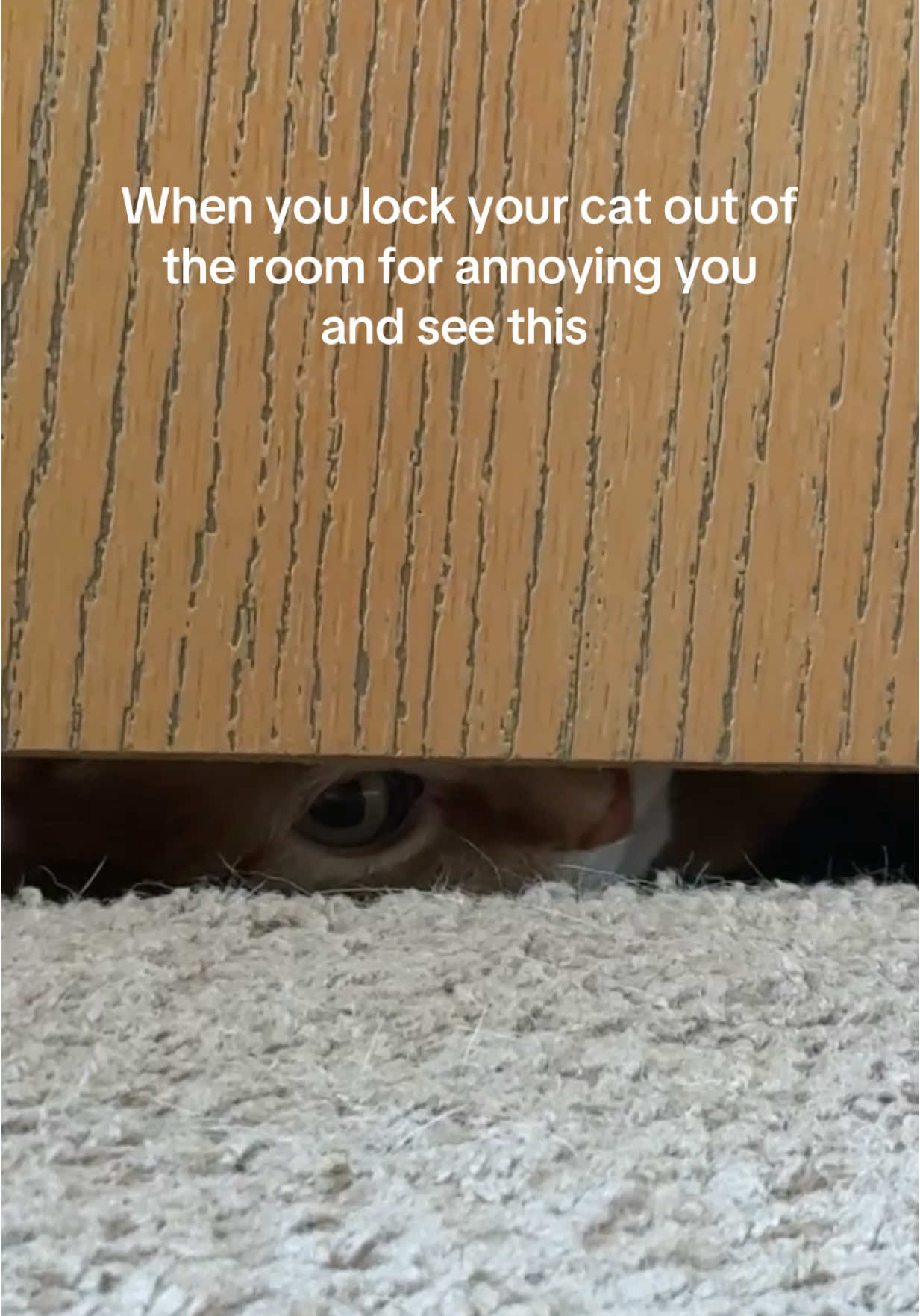 I’m AN AWFUL MOTHER 