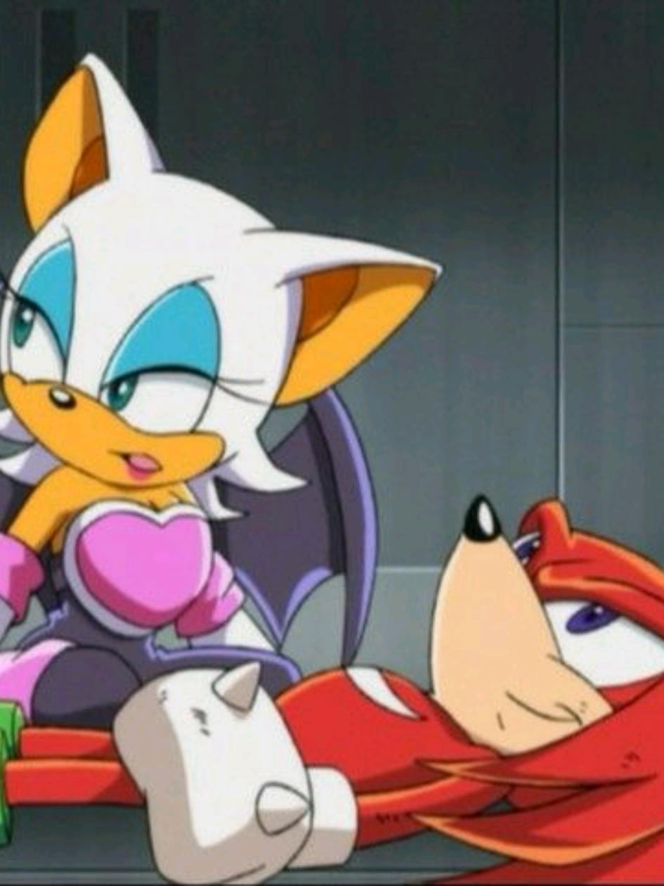 #ROUGEXKNUCKLES ★٭*❤🤍  I refuse to believe they didn't have feelings for eachover (they feel cannon Idk why 😭😭) 𝙏𝘼𝙂𝙎: #makethisviral  #knuxouge #knucklestheechidna #rougethebat 