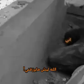 #العراق_العضيم#. . . . . . . . . . . #ضياء_عماله_وكفر😅 #عمو_ضياء#ضياء_عماله