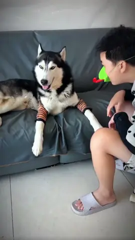 #dog #man #funnydogs #fyp 