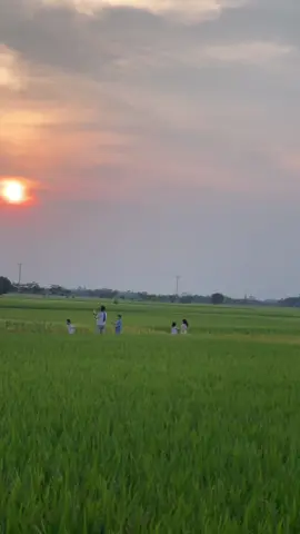 Ước gì chúng ta không lớn ông bà cũng chẳng già #viral 