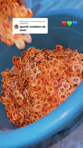 Réponse à @hadidia51 #bébémignon #viralbeauty #baby #babylove #babyshower #babytiktok #ba #beranda #babyfood #cerelac #imature🇸🇳 #visiblitetiktok #babiesoftiktok #babylove #prisedepoids #Bebe #fypシ゚ #cejour #VoiceEffects #regime #pourtoi #@Mamendiayesavon 