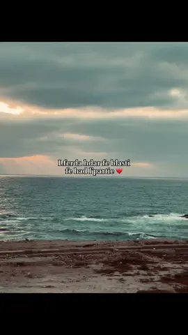 💔🐺 #lferdateam #lferda #7m7 #raplyrics #7m7_for_ever🥷🏻 