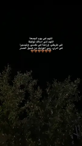 🤎…