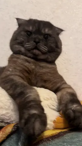 #🤣 