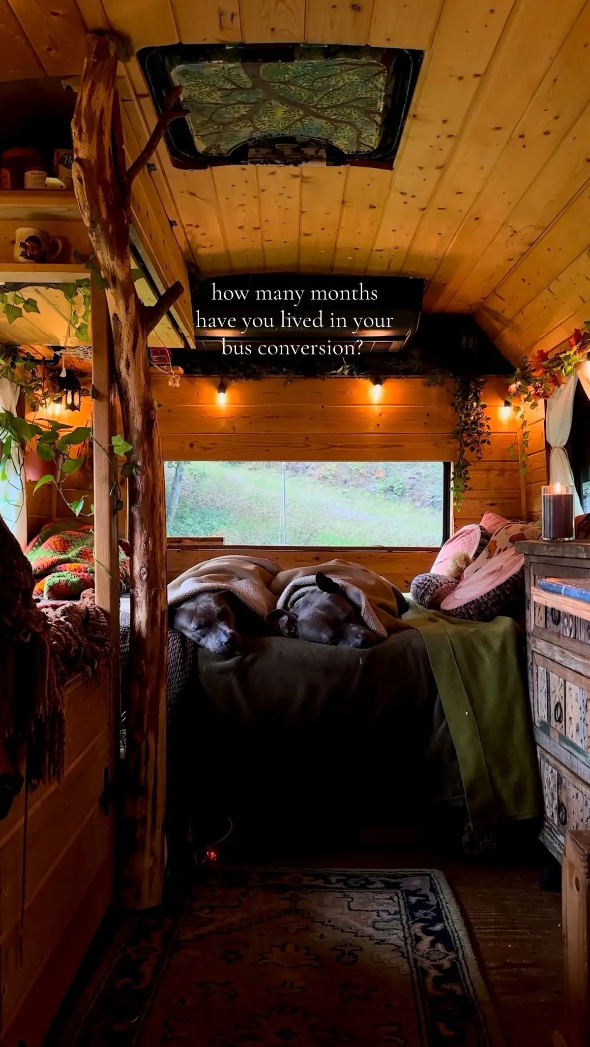 Best years of my life, with the loves of my life 💚🌿🌲🚍🌲🐾🐾✨ Sending a big thank you to everyone who’s been a part of our journey over the years ~ we wouldn’t be here without you 🥹 #buslife #vanlife #slowliving #simplelife #tinyhomeonwheels #howmanyyears