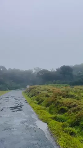 වැස්සයි සීතලයි 🥶🍂 . . . #1m #srilanka #fyp #trendingvideo #tiktok #හොර්ටන්_තැන්න #srilankan_tik_tok🇱🇰 